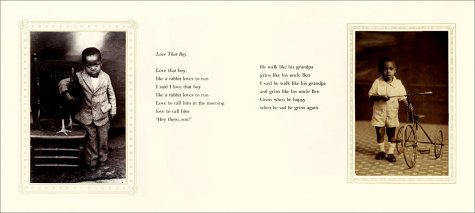 Brown Angels: An Album of Pictures and Verse,Used