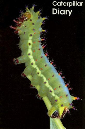 Caterpillar Diary (Informazing),Used