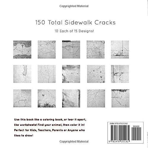 Sidewalk Cracks!: Discover, Color, Create,Used