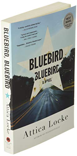 Bluebird, Bluebird (A Highway 59 Novel, 1),New