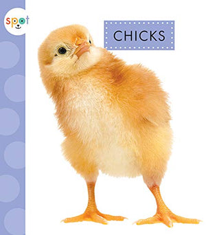 Chicks (Spot Baby Farm Animals)