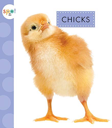 Chicks (Spot Baby Farm Animals)
