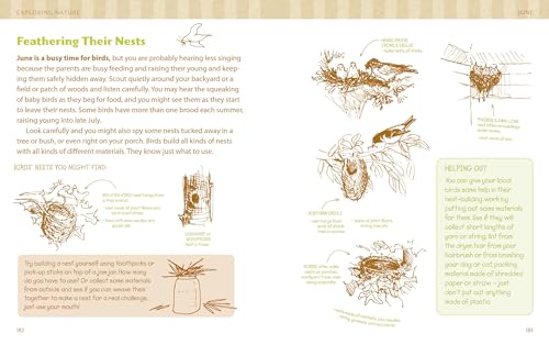 The Nature Connection: An Outdoor Workbook for Kids, Families, and Classrooms,New