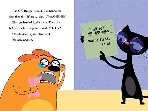 FETCH! with Ruff Ruffman: Show's Over,Used