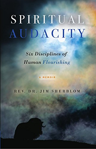 Spiritual Audacity: Six Disciplines of Human Flourishing,Used
