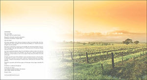 Step Into the Bible: 100 Family Devotions to Help Grow Your Childs Faith,Used