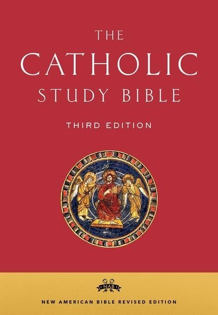 The Catholic Study Bible-used