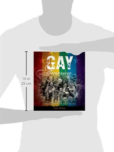 Gay America: Struggle For Equality,Used
