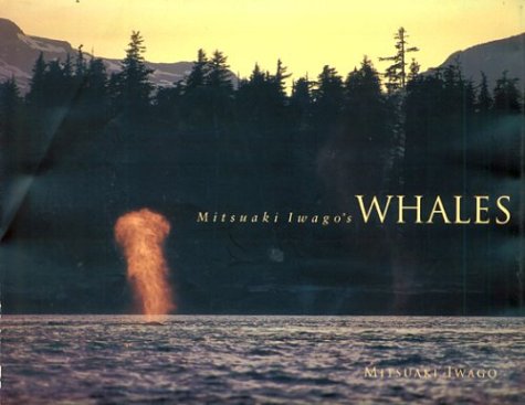 Mitsuaki Iwago'S Whales,New