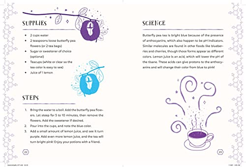 The Science Spell Book: 30 Enchanting Experiments For Kids-used