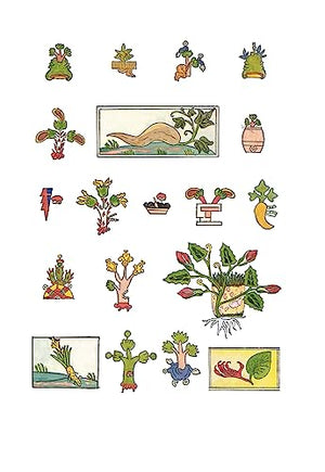 An Aztec Herbal: The Classic Codex Of 1552,New