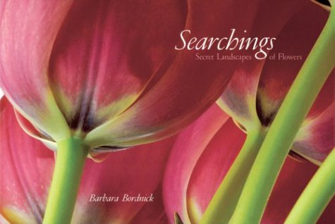 Searchings,New