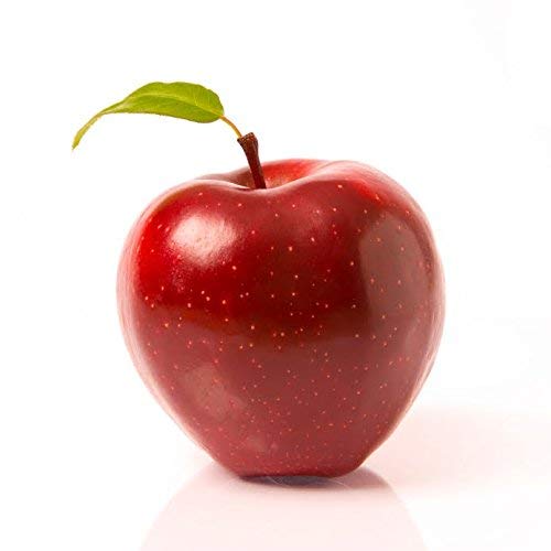 Guilt and forgiveness: How God can help you feel good about yourself,Used