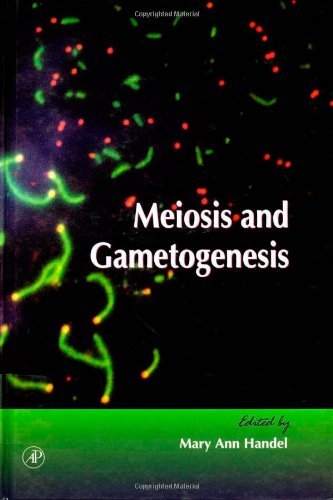 Meiosis and Gametogenesis (Volume 37) (Current Topics in Developmental Biology, Volume 37),Used