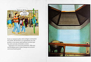 Zoologico,Used