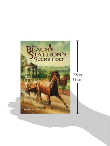 Black Stallion's Sulky Colt (Turtleback School & Library Binding Edition),Used