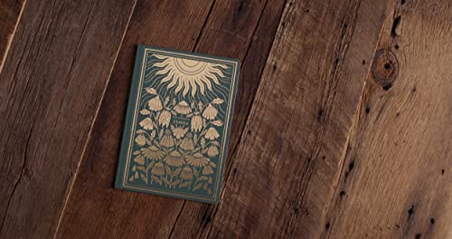 ESV Illuminated Scripture Journal: James,Used