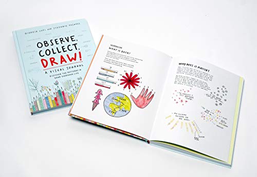 Observe Collect Draw!: A Visual Journal,Used