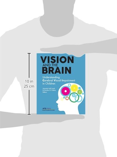 Vision and the Brain: Understanding Cerebral Visual Impairment in Children,Used