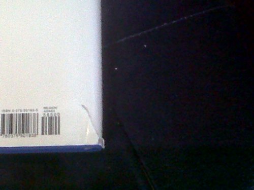 Talmud vol. 17: The Steinsaltz Edition: Tractate Sanhedrin, Part III,Used