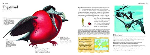 Predators: The World's Deadliest Animals,Used