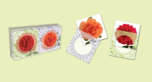 Roses Gift Enclosures,Used