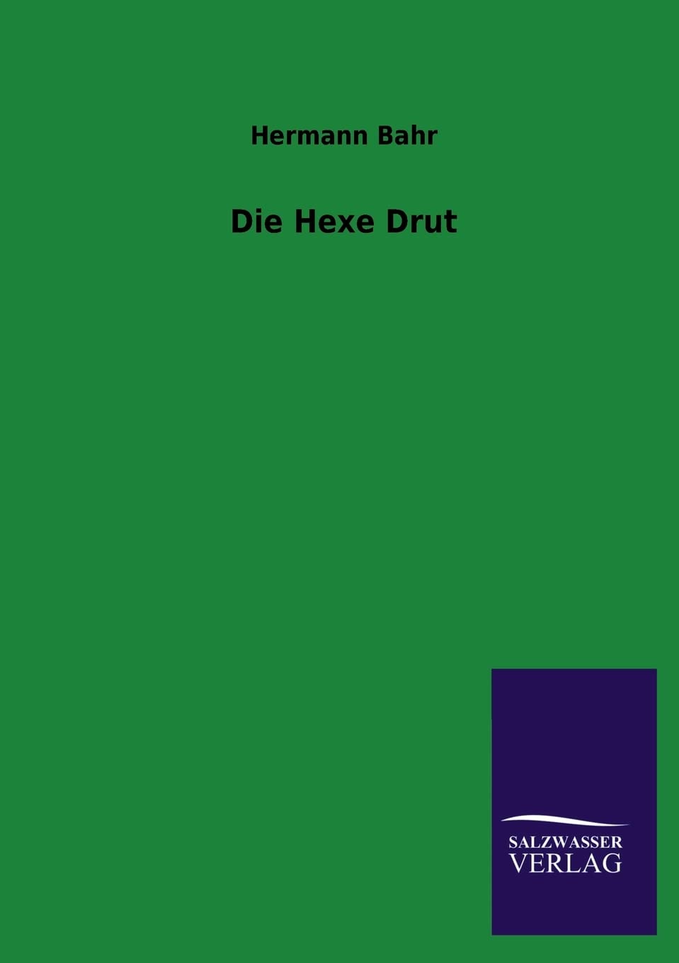 Die Hexe Drut (German Edition),Used