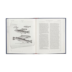 On the Origin of the Species: Slipcased Edition,Used