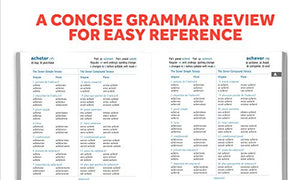 501 French Verbs, Eighth Edition (Barron'S 501 Verbs)