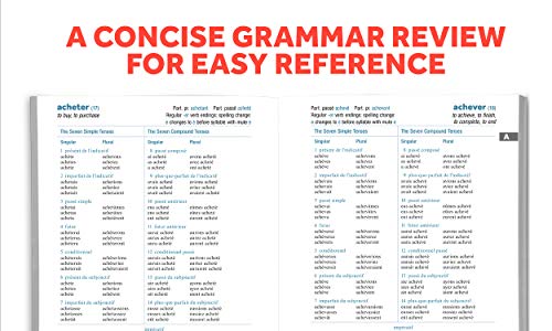501 French Verbs, Eighth Edition (Barron'S 501 Verbs)
