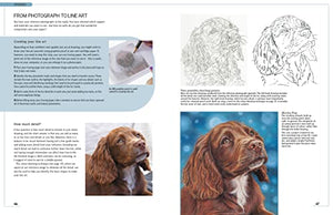 Drawing Animal Portraits in Coloured Pencil,Used