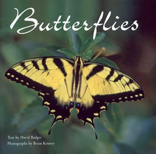 Butterflies,Used