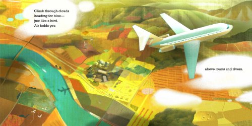 Planes Fly!,Used
