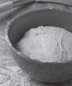 Baking Artisan Bread with Natural Starters,Used