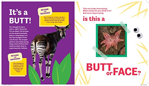 Butt Or Face?: A Hilarious Animal Guessing Game Book For Kids