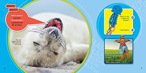 Just Joking Sidesplitters,Used