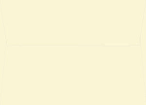 Quill Pen and Ink Note Cards (Stationery, Boxed Cards),Used