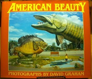 American Beauty (New Images Book),Used