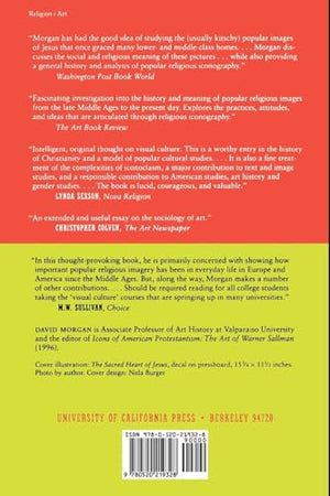 Visual Piety: A History and Theory of Popular Religious Images,Used