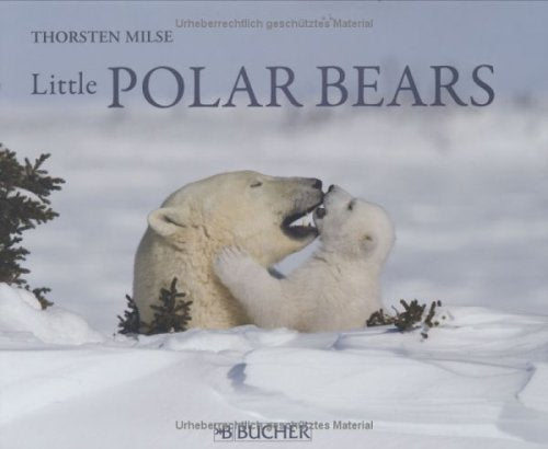 Little Polar Bears,New