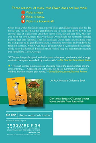 The Fantastic Secret of Owen Jester,Used