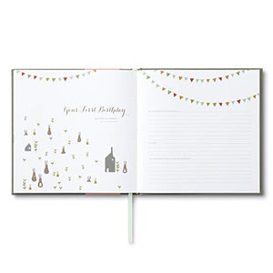 Welcome, Baby!  Pink Bellyband Edition  A place to capture every miracle and milestone of baby's first year.,Used