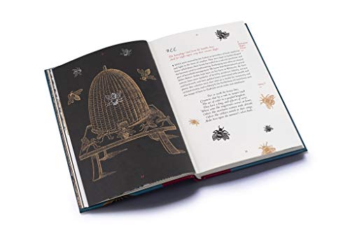 A Shakespeare Motley: An Illustrated Compendium,New