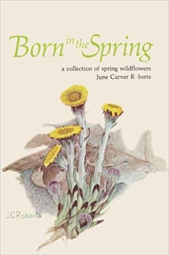 Born in the Spring: A Collection of Spring Wildflowers,Used