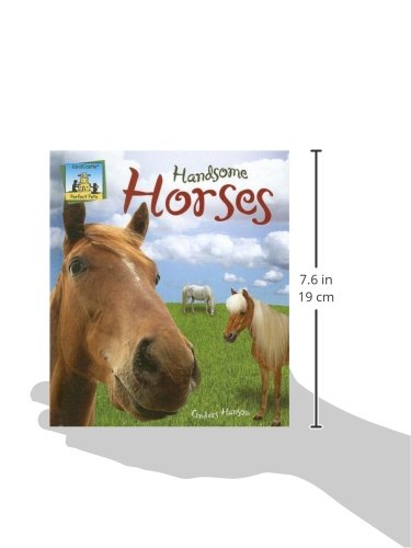Handsome Horses (Perfect Pets),Used