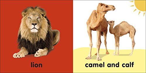Baby Touch and Feel: Bible Animals,Used