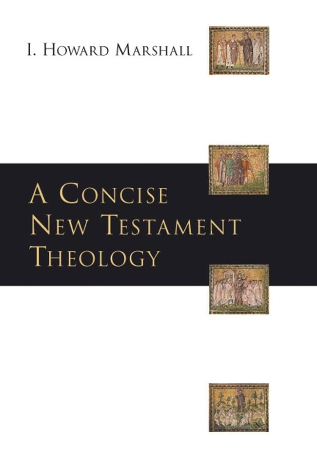 A Concise New Testament theology,Used