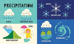 My First 100 Weather Words: A STEM Vocabulary Builder for Babies and Toddlers (My First STEAM Words),Used