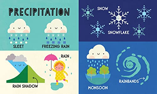 My First 100 Weather Words: A STEM Vocabulary Builder for Babies and Toddlers (My First STEAM Words),Used