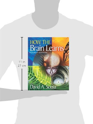 How The Brain Learns